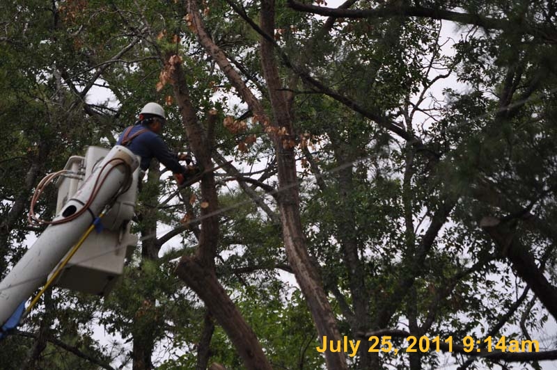Entergy 048